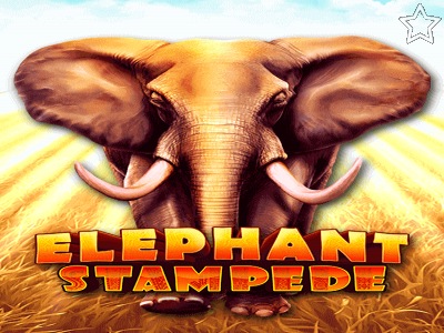 Elephant Stampede