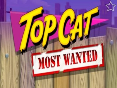 Top Cat Most Wanted