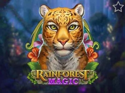 Rainforest Magic
