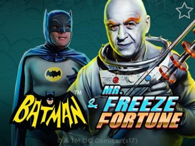 Batman & Mr Freeze Fortune