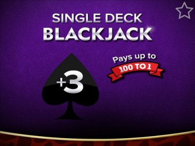 Single Deck Blackjack 3