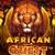 African Quest