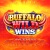 Buffalo Wild Wins