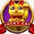 Lucky Cat