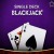 Single Deck Blackjack Multihand