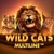 Wild Cats Multiline