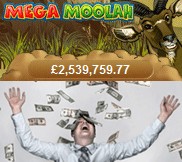 mega moolah jackpot win