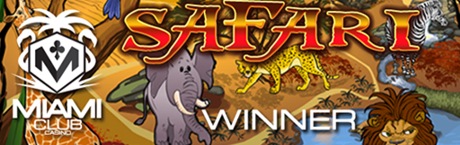 news/safari win miami