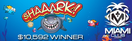 news/shaaark 10k