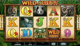 wild orient